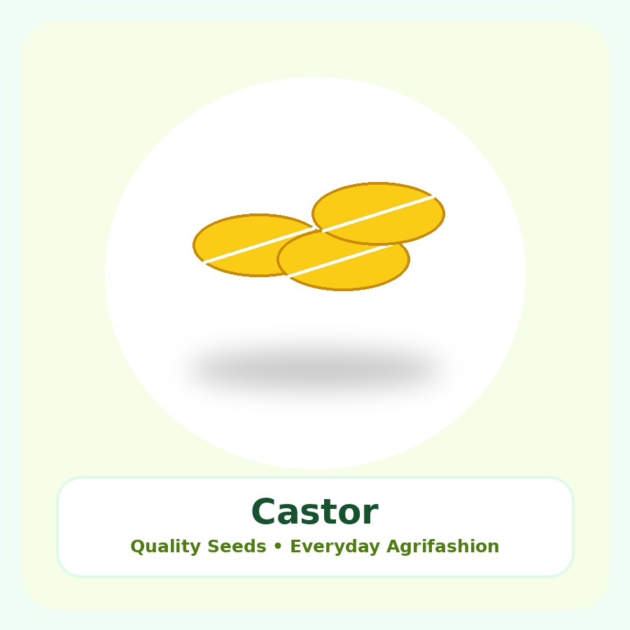 Castor Seeds 10kg