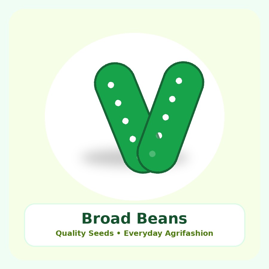 Broad Beans Seeds 50g