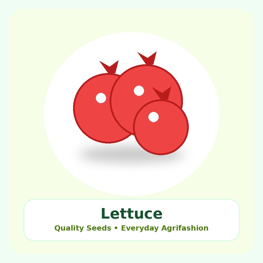Lettuce Seeds 100g